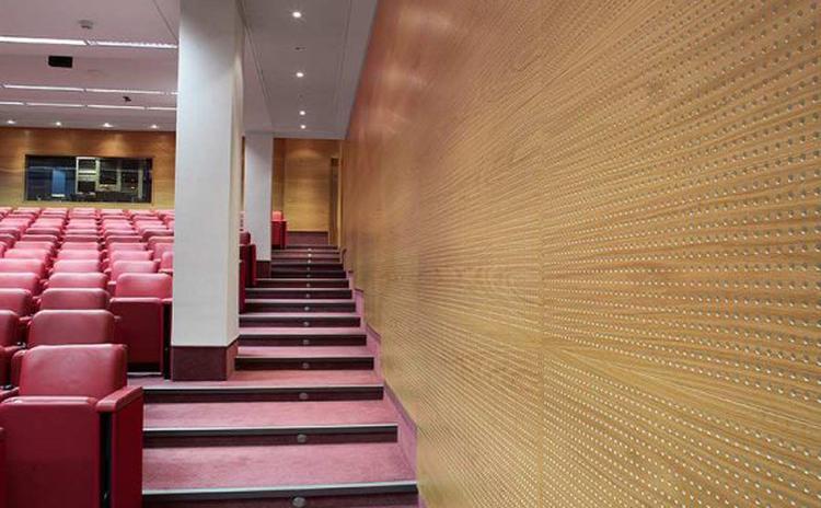 江西新余演講廳木質穿孔吸音板聲學工程