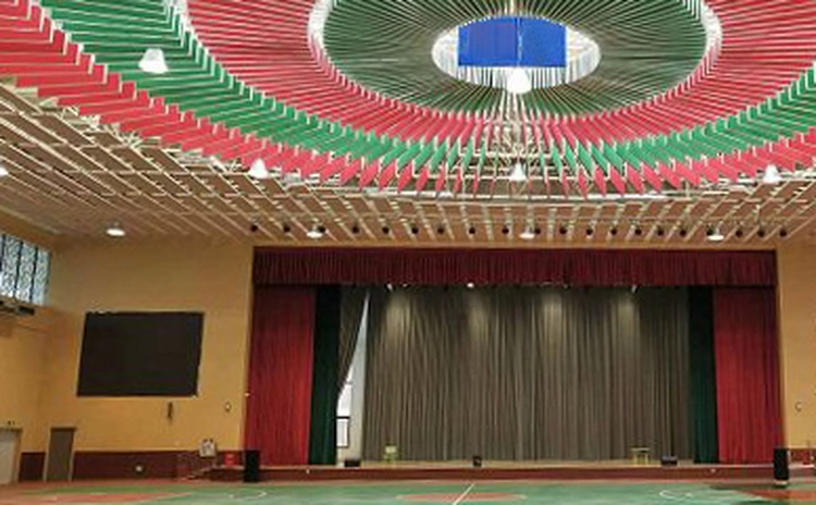 湖北咸寧學(xué)校體育館-2